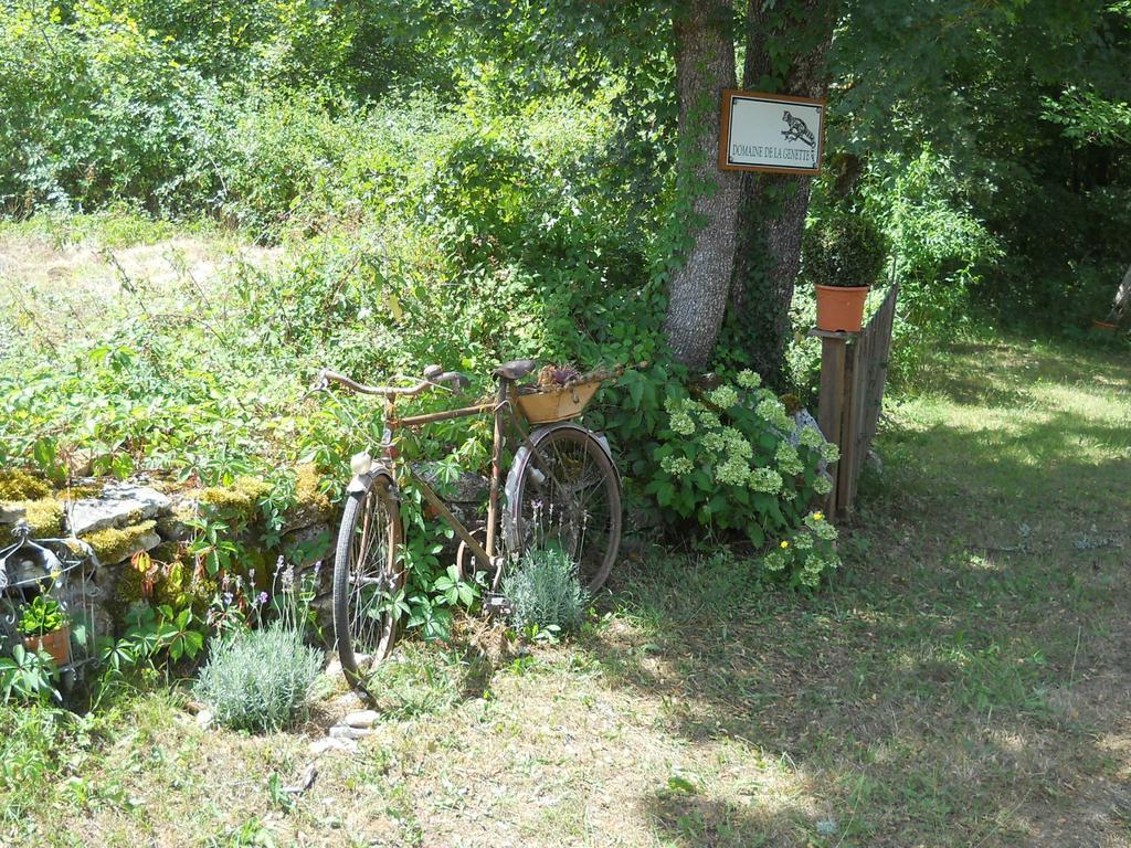 Villa Le Domaine De La Genette Paussac-et-Saint-Vivien Esterno foto